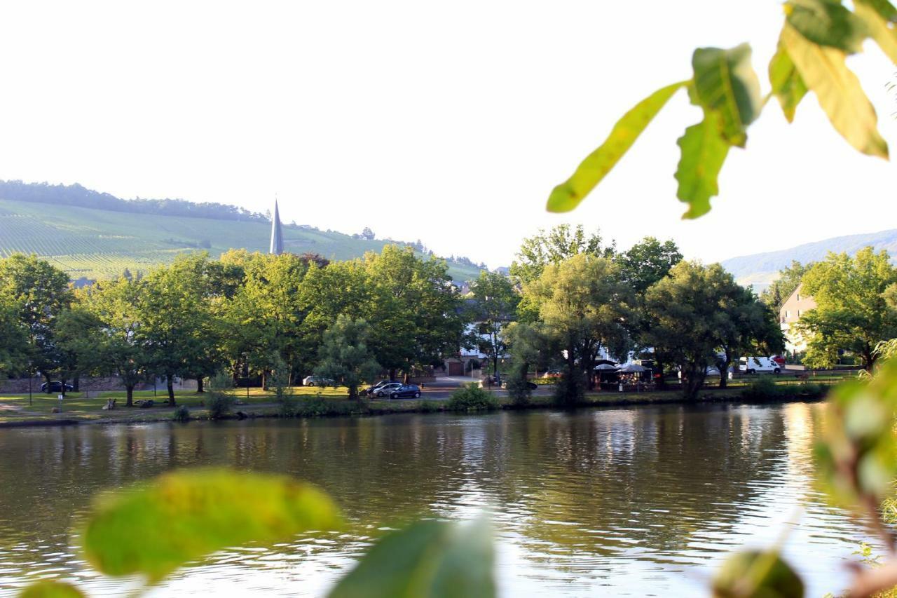 Ferienwohnung Moselblick Bernkastel-Kues Exteriör bild
