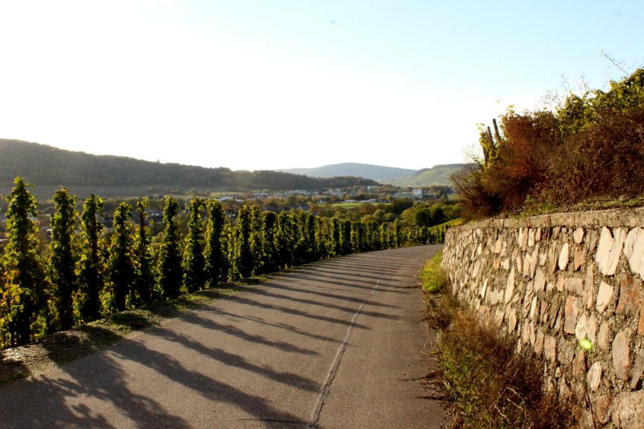 Ferienwohnung Moselblick Bernkastel-Kues Exteriör bild